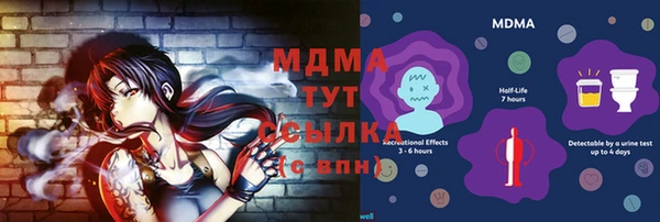 индика Елабуга