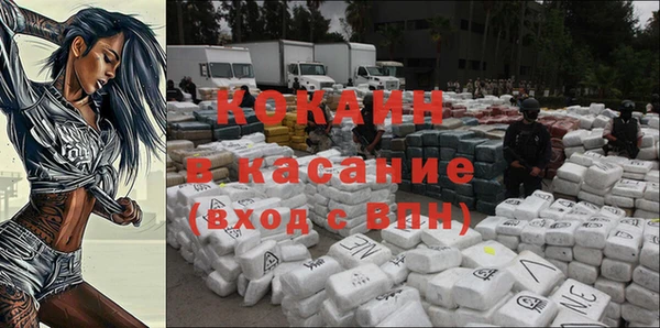 индика Елабуга
