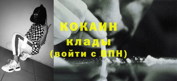 крисы Дмитров