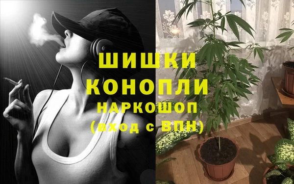 крисы Дмитров