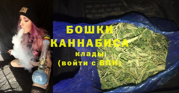 крисы Дмитров
