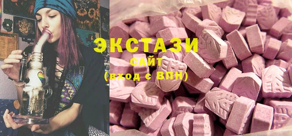индика Елабуга