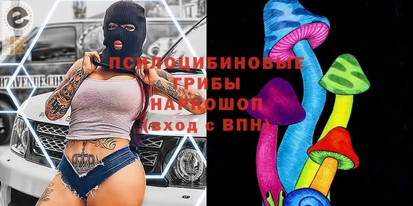 крисы Дмитров