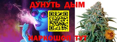 mdpv Дубна