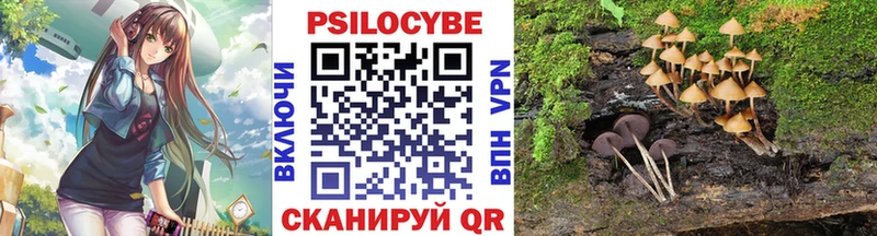Галлюциногенные грибы прущие грибы  даркнет сайт  mega маркетплейс  Зеленокумск 